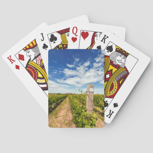 Baraja De Cartas EEUU, Washington, Walla Walla. Cabernet Sauvignon (Reverso)