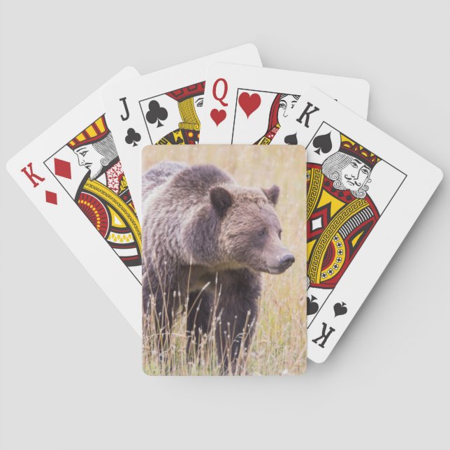 Baraja De Cartas EEUU, Wyoming, Parque Nacional Yellowstone, Grizzl (Reverso)