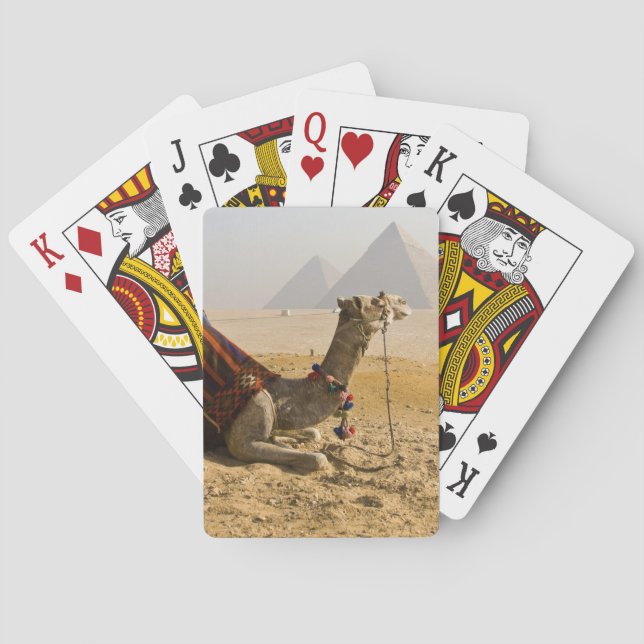 Baraja De Cartas Egipto, El Cairo. Un camello solitario (Reverso)