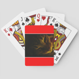 Baraja De Cartas El acercamiento de Indigo