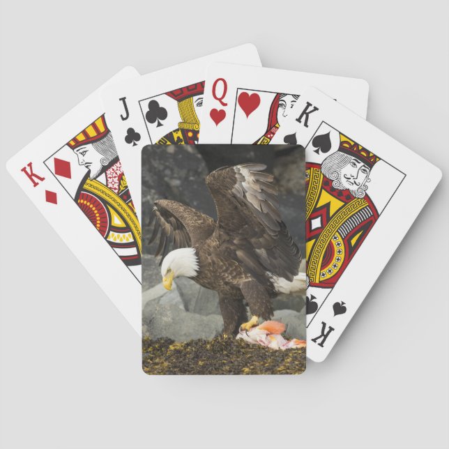 Baraja De Cartas El águila calva suprema (Reverso)