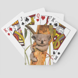 Baraja De Cartas El bonito Koala