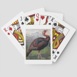 Baraja De Cartas El callejón sin salida estadounidense de Turquía, 