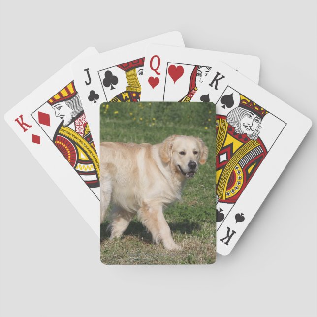 Baraja De Cartas El caminar del golden retriever (Reverso)