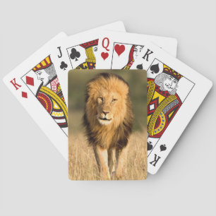 Baraja De Cartas El caminar masculino del león