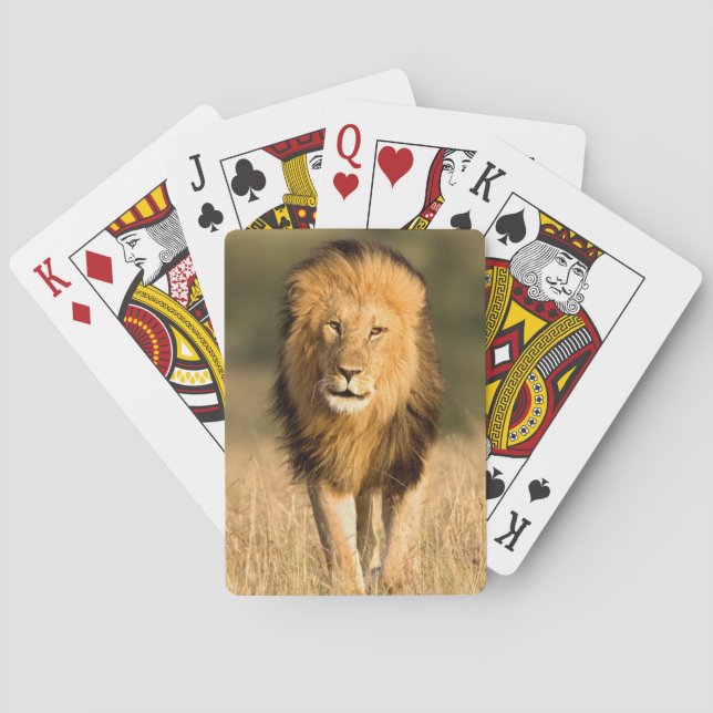 Baraja De Cartas El caminar masculino del león (Reverso)