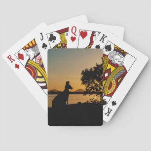 Baraja De Cartas El canguro Golden Sunset Black Silhouette Australi