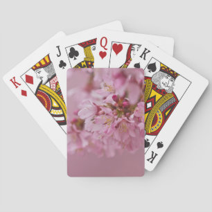 Baraja De Cartas El cerezo sakura florece con reflexiones rosa páli
