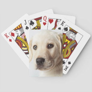 Baraja De Cartas El cierre de la cachorro de Labrador dorado
