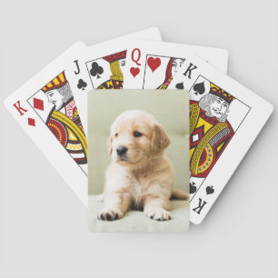 Baraja De Cartas El colchón de la colección Golden Retriever