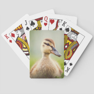 Baraja De Cartas El Ducking del pato silvestre del bebé