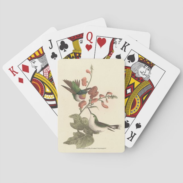 Baraja De Cartas El Hummingbird de garganta roja o gélida (Reverso)