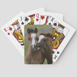 Baraja De Cartas El jugar de los potros