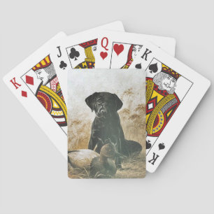 Baraja De Cartas El Laboratorio Negro Labrador Espera Por La Cubier