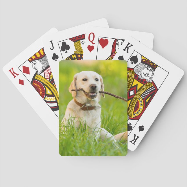 Baraja De Cartas El Labrador Amarillo Juega A La Bota Con Palo (Reverso)