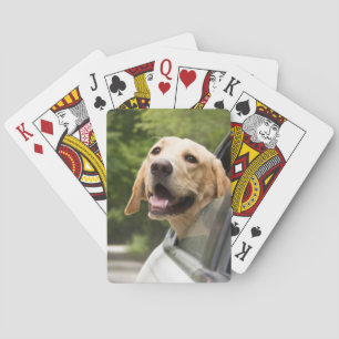 Baraja De Cartas El Labrador de oro en el espejo retrovisor