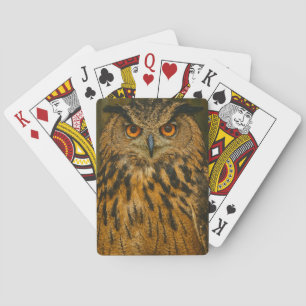 Baraja De Cartas El observador - lechuza águila euroasiática a la l