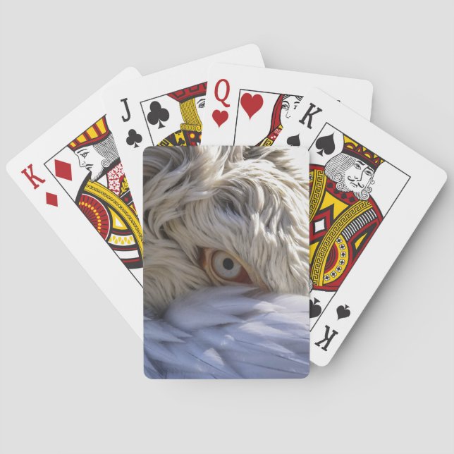 Baraja De Cartas El ojo de un pelícano (Reverso)