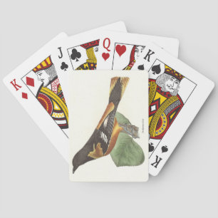 Baraja De Cartas El Oriole de Oro o Baltimore (Icterus galbula)
