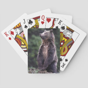 Baraja De Cartas El oso pardo