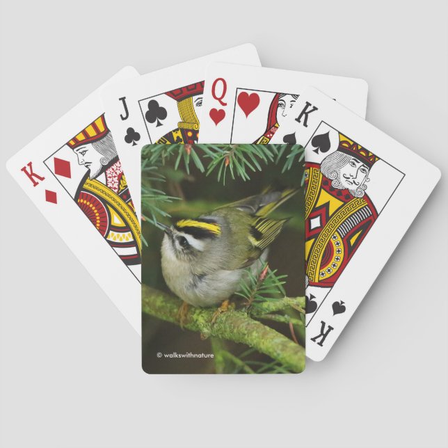 Baraja De Cartas El pájaro de Kinglet se vuelve loco (Reverso)