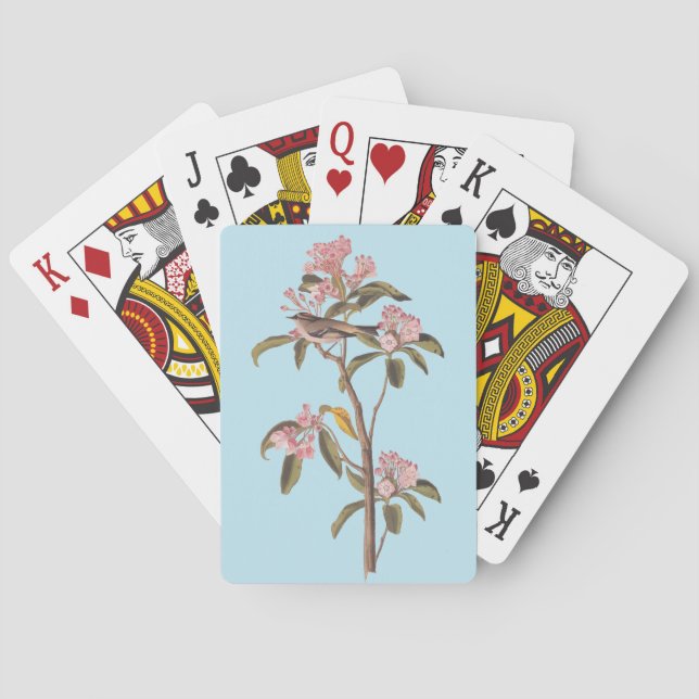 Baraja De Cartas El pájaro del canto de Audubon en el Calico Rosa (Reverso)