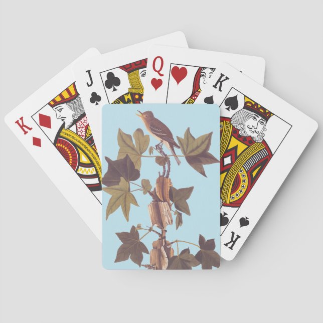 Baraja De Cartas El pájaro del Flycatcher del Sendero Audubon (Reverso)