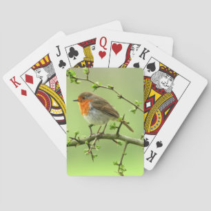 Baraja De Cartas El petirrojo