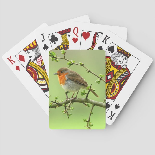 Baraja De Cartas El petirrojo (Reverso)