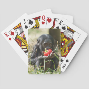 Baraja De Cartas El picnic de Bonobo