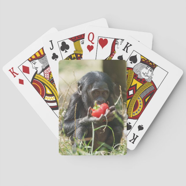 Baraja De Cartas El picnic de Bonobo (Reverso)