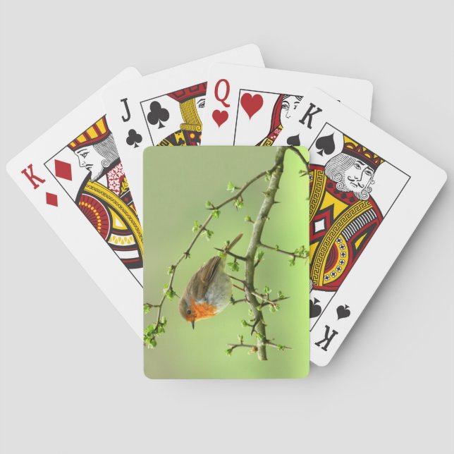 Baraja De Cartas El Robin (Reverso)