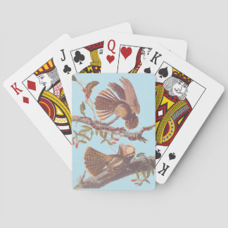 Baraja De Cartas El tarro de viudas de Chuck Will con serpiente de