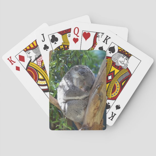 Baraja De Cartas El tenebroso Koala en el árbol (Reverso)