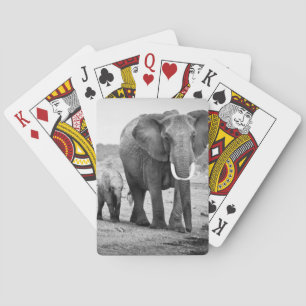 Baraja De Cartas Elefante africano y becerros el   Kenia, África