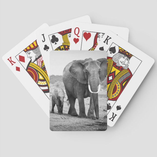 Baraja De Cartas Elefante africano y becerros el | Kenia, África (Reverso)