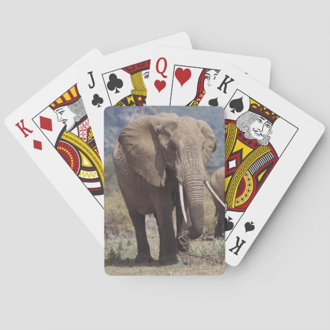 Baraja De Cartas Elefante de la madre que camina con el becerro del (Reverso)