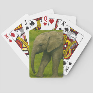 Baraja De Cartas Elefante joven con tutor en reserva de hierba
