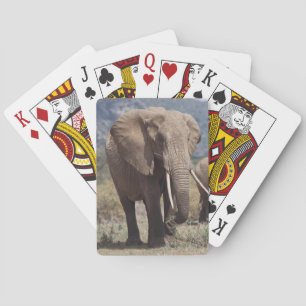 Baraja De Cartas Elefante madre caminando con cría de elefante