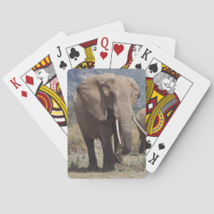 Baraja De Cartas Elefante madre caminando con cría de elefante