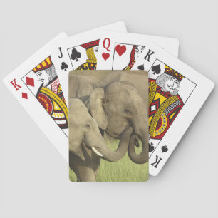 Baraja De Cartas Elefantes asiáticos indios