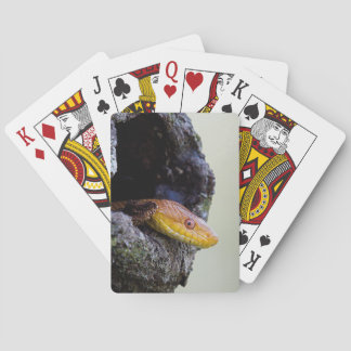 Baraja De Cartas Elegancia dorada: Tarjetas de juego de serpiente d