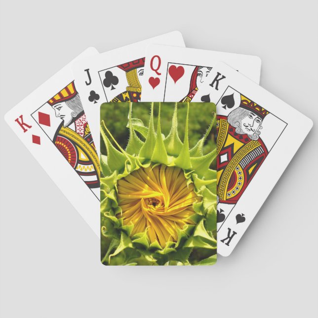 Baraja De Cartas Elegante foto de girasol amarillo (Reverso)