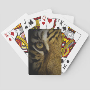 Baraja De Cartas En el ojo de un tigre