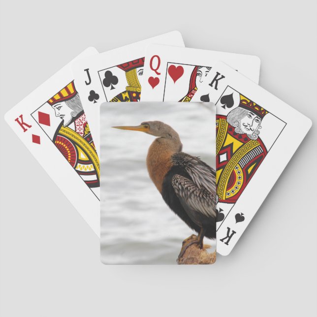 Baraja De Cartas En la búsqueda (Reverso)