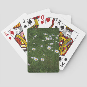 Baraja De Cartas En su zona de comodidad