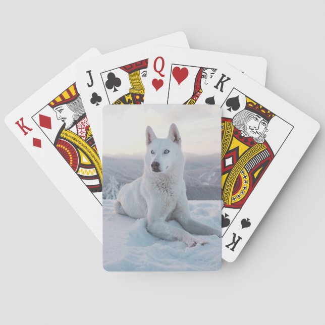 Baraja De Cartas Encantando Perro blanco Husky en la nieve (Reverso)
