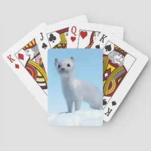 Baraja De Cartas Encanto de Comadreja Ártica