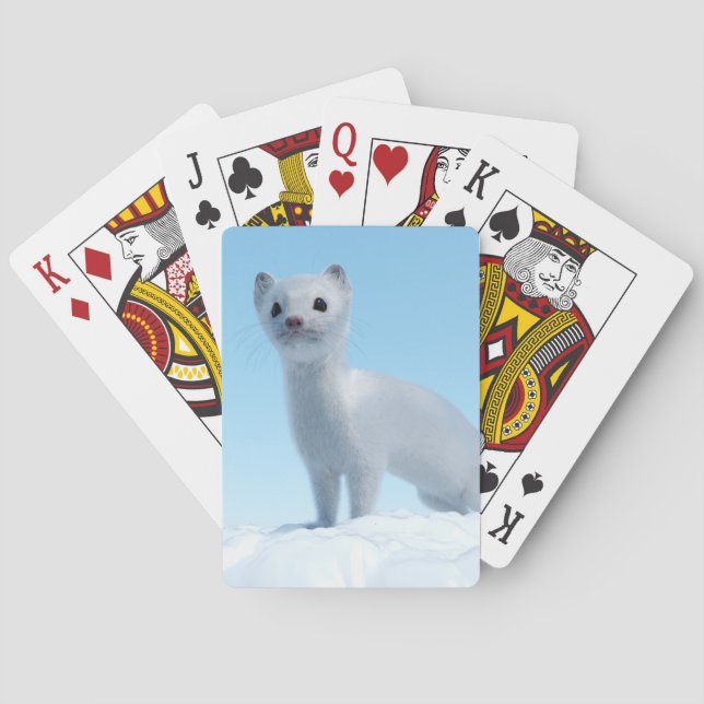 Baraja De Cartas Encanto de Comadreja Ártica (Reverso)