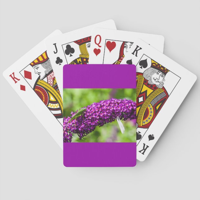 Baraja De Cartas energía katydid (Reverso)